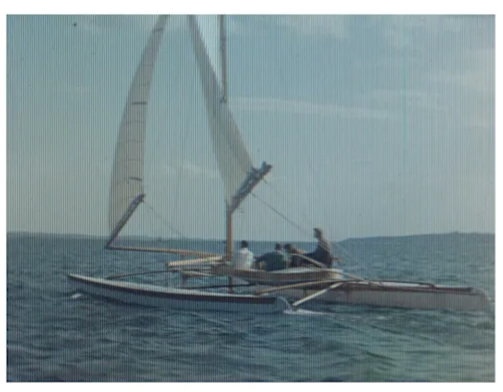 Amaryllis II: The Kodacolor Film